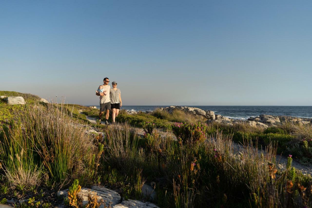 Nothing But View Lägenhet Hermanus Exteriör bild
